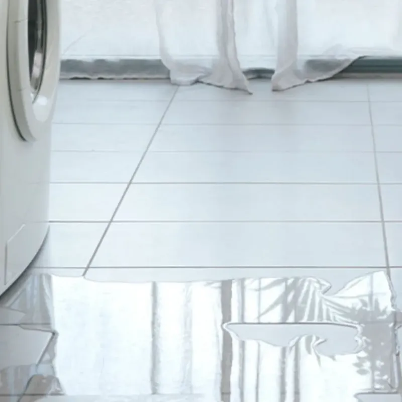 Appliance Leak Cleanup in Metamora, IL