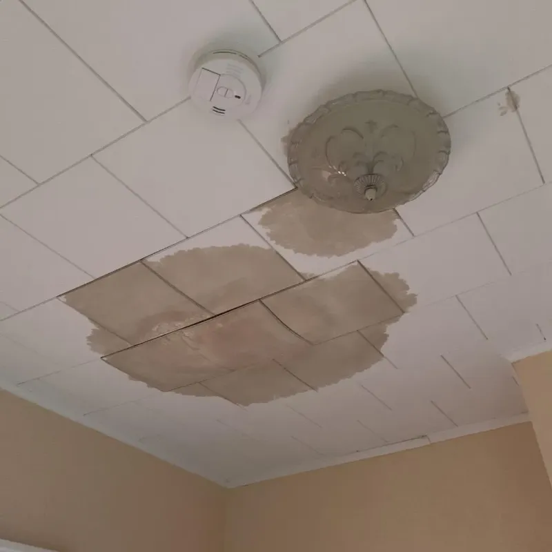 Ceiling Water Damage Repair in Metamora, IL