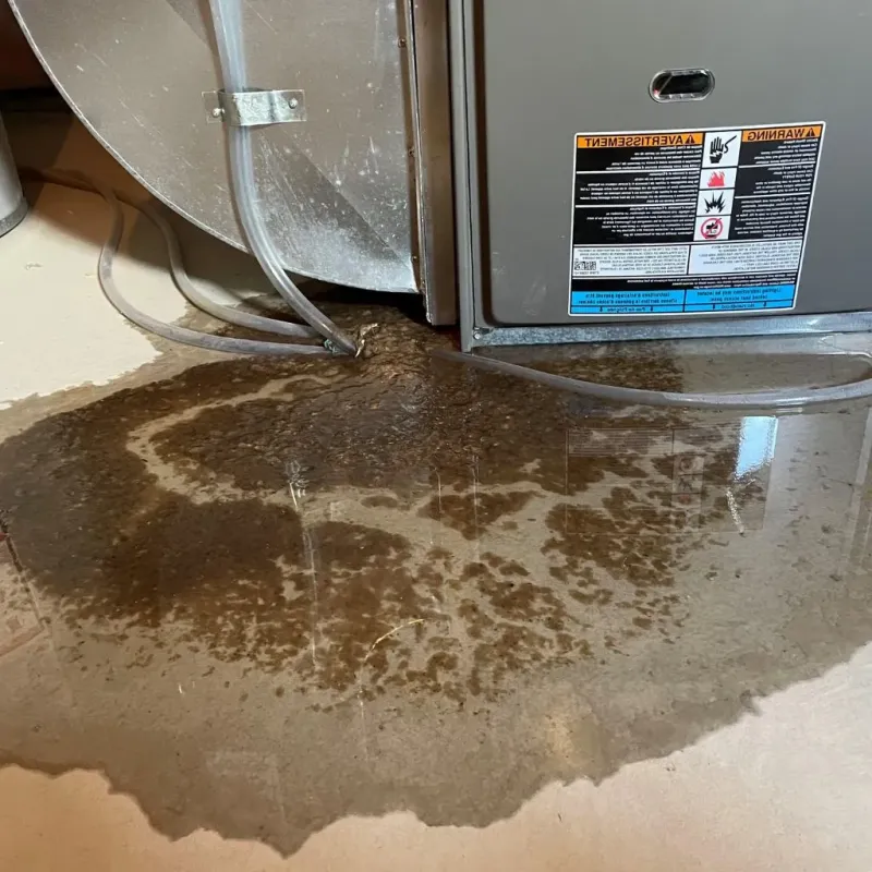 Pipe Burst and Leak Restoration in Metamora, IL