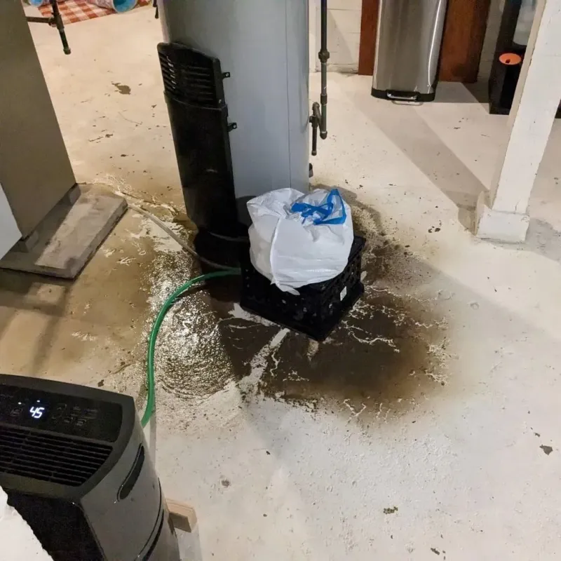 Sewage Backup Cleanup Service in Metamora, IL